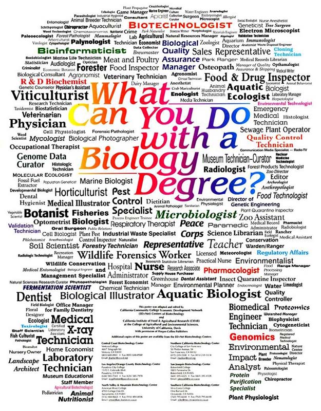 Barbeau What Can I Do With A Biology Degree 